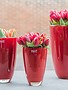 DutZ Flower vases red