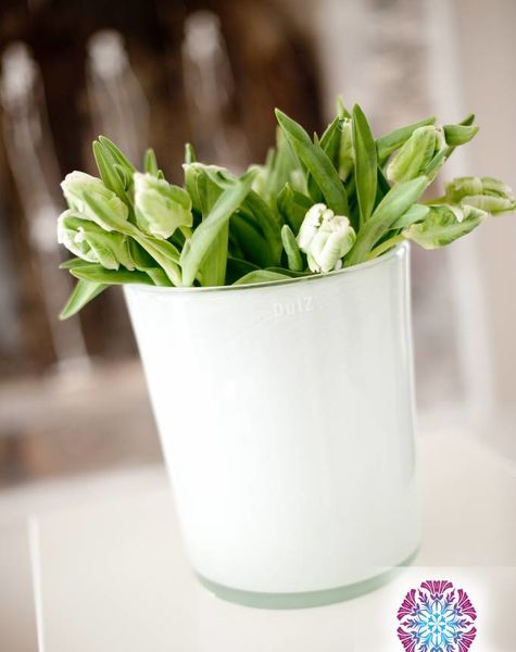 DutZ Conic white vases