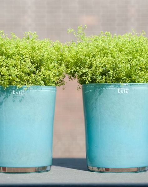 DutZ Conic aqua vazen