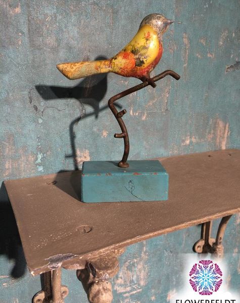 Vogeltje bont gekleurd