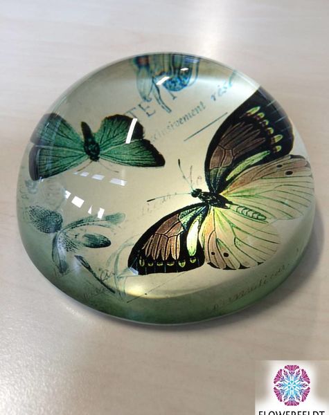Paperweight butterfly