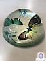 Paperweight butterfly