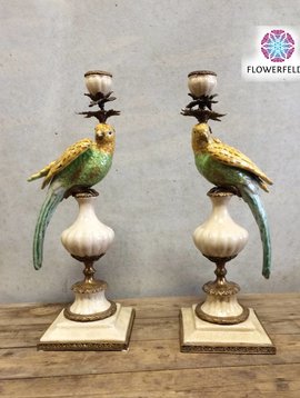 Parrot candle holder