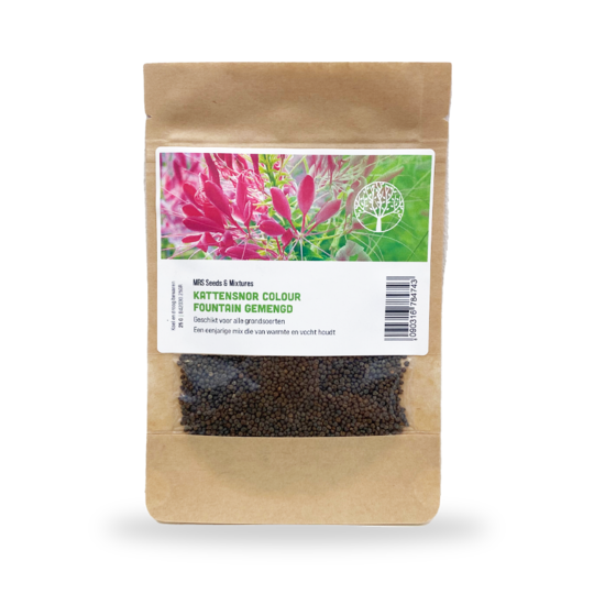 Kattensnor Colour Fountain - Cleome hassleriana Kattensnor Colour Fountain - Cleome hassleriana