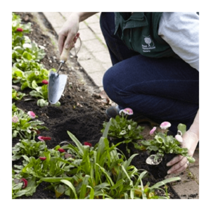 Burgon & Ball RHS Plantschopje met maatvoering (inch)