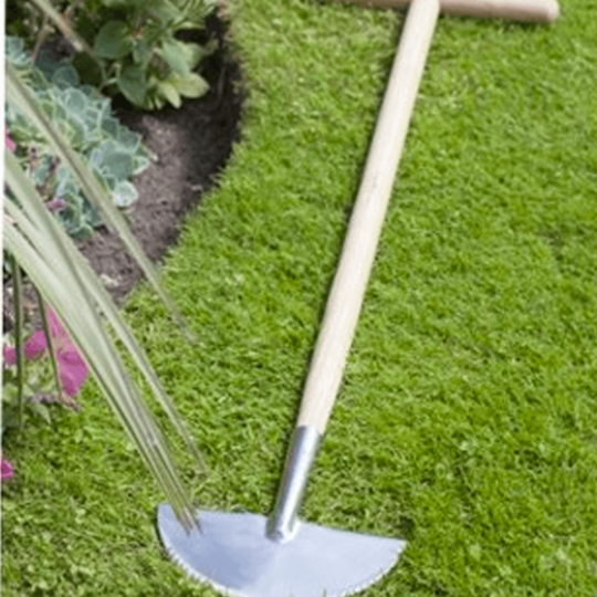 RHS Graskantensteker RHS Graskantensteker