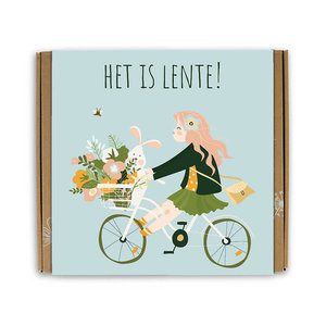 Blossombs Giftbox Medium 'Het is Lente' zaadbolletjes - 9 stuks