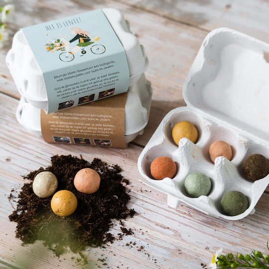 Cadeau eierdoosje 'Het is Lente' - 6 zaadbolletjes Cadeau eierdoosje 'Het is Lente' - 6 zaadbolletjes