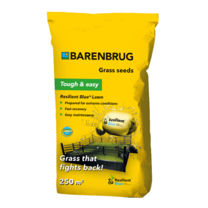 Barenbrug Resilient Blue Lawn - Speelgazon