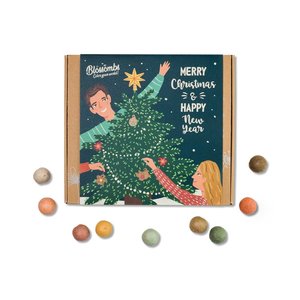 Blossombs Giftbox Medium 'Xmas' zaadbolletjes