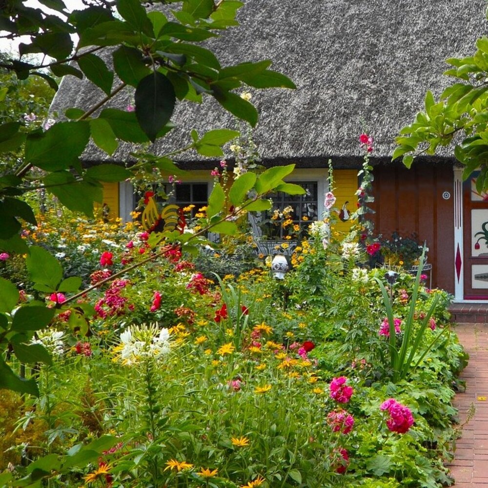 Engelse Cottagetuin Bloemenmengsel