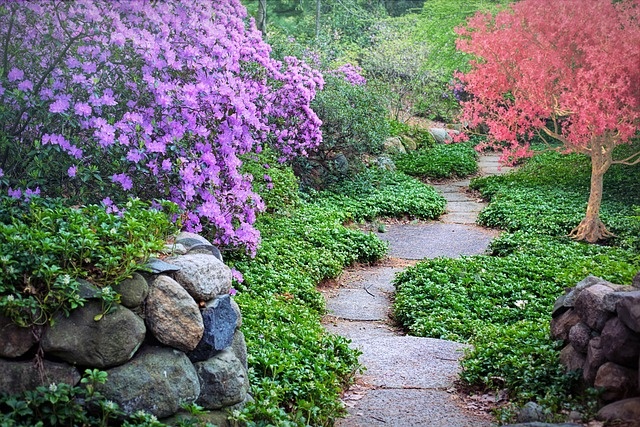 tuinpad geurende planten