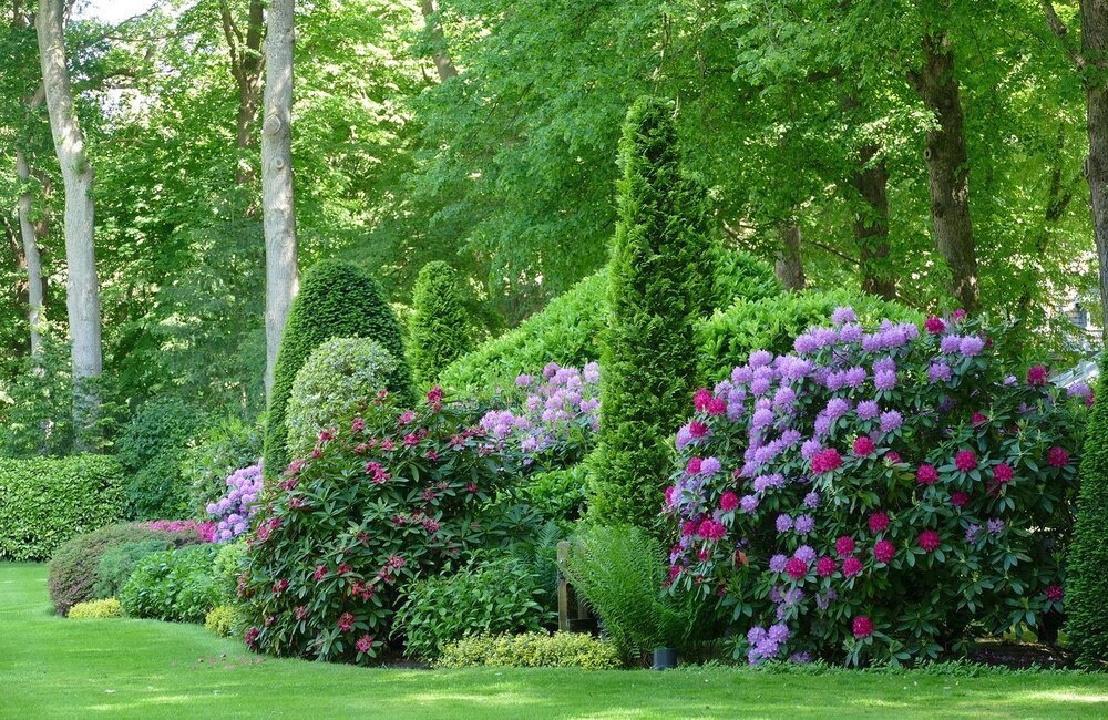 Beplantingsplan voor de tuin, waar moet je aan denken?