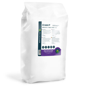 MRS Fertilizers Green+ Extra Groen & Anti Mos | 20KG-500m2