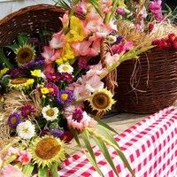 Populaire snijbloemen voor in de tuin