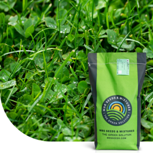 MRS Seeds & Mixtures Clover Lawn - Graszaad met microklaver