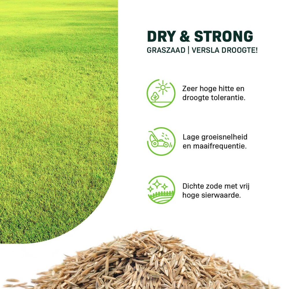 Dry & Strong - Graszaad | Versla droogte!