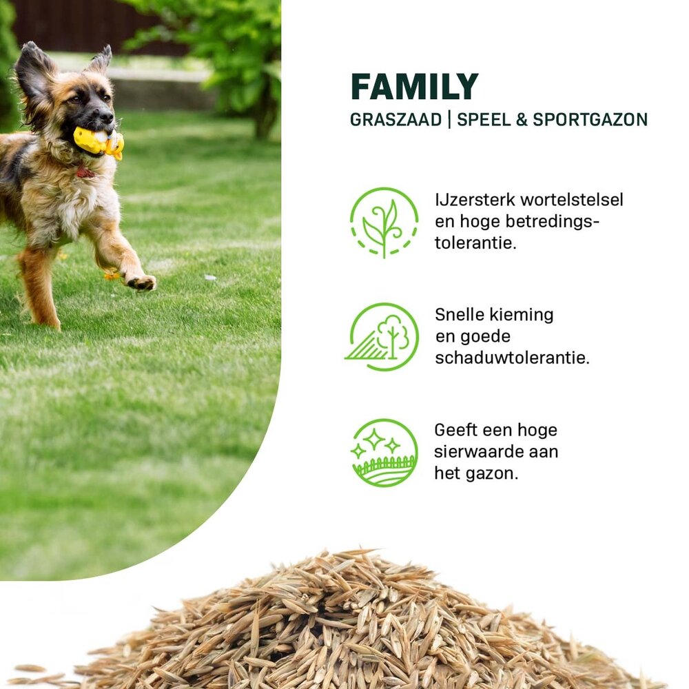 Family - Speel & Sportgazon Graszaad