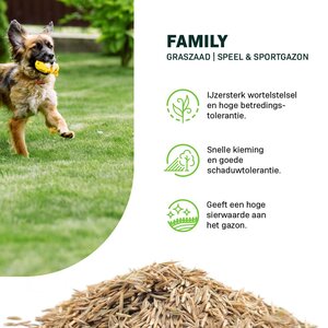 MRS Seeds & Mixtures Family - Speel & Sportgazon Graszaad
