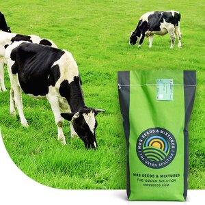 MRS Seeds & Mixtures Graze - BG4 | Blijvend Grasland 15KG