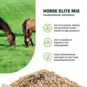 MRS Seeds & Mixtures Horse - Elite mix | Paardenweide Universeel