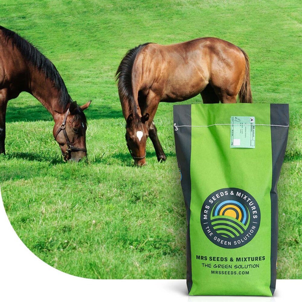 Horse - Recovery mix | Herstel Paardenweide