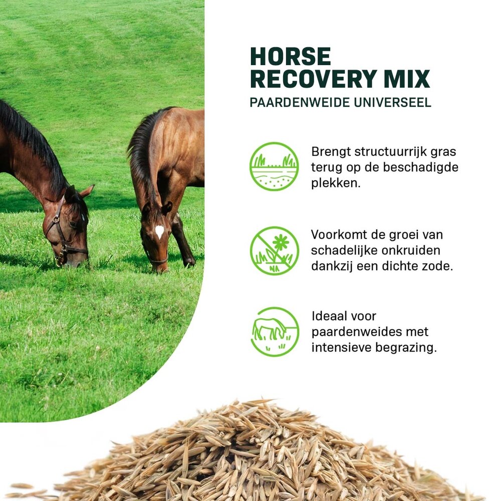 Horse - Recovery mix | Herstel Paardenweide