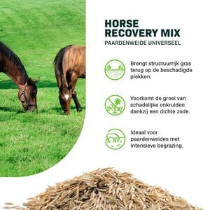 MRS Seeds & Mixtures Horse - Recovery mix | Herstel Paardenweide