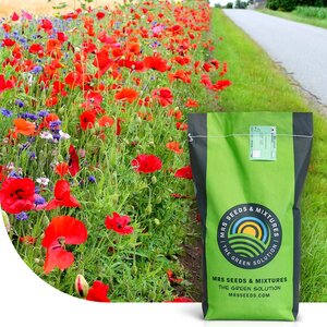MRS Seeds & Mixtures Roadside Bloom - Graszaad | Kleurrijke Bermen