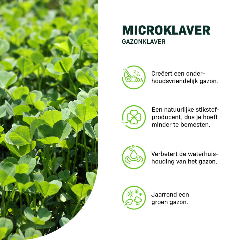 Microklaver - Gazonklaver