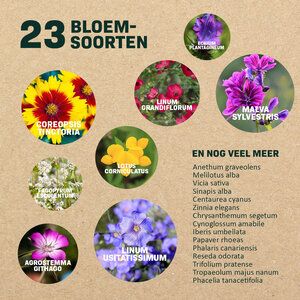 MRS Seeds & Mixtures Vlinderbloemenmengsel één-  en meerjarig