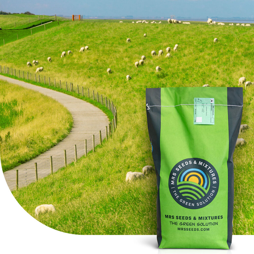 Dijken 1 - 15 kg | Smakelijk gras voor beweiding Dijken 1 - 15 kg | Smakelijk gras voor beweiding
