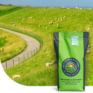 MRS Seeds & Mixtures Dijken 1 - 15 kg | Smakelijk gras voor beweiding MRS Seeds & Mixtures Dijken 1 - 15 kg | Smakelijk gras voor beweiding