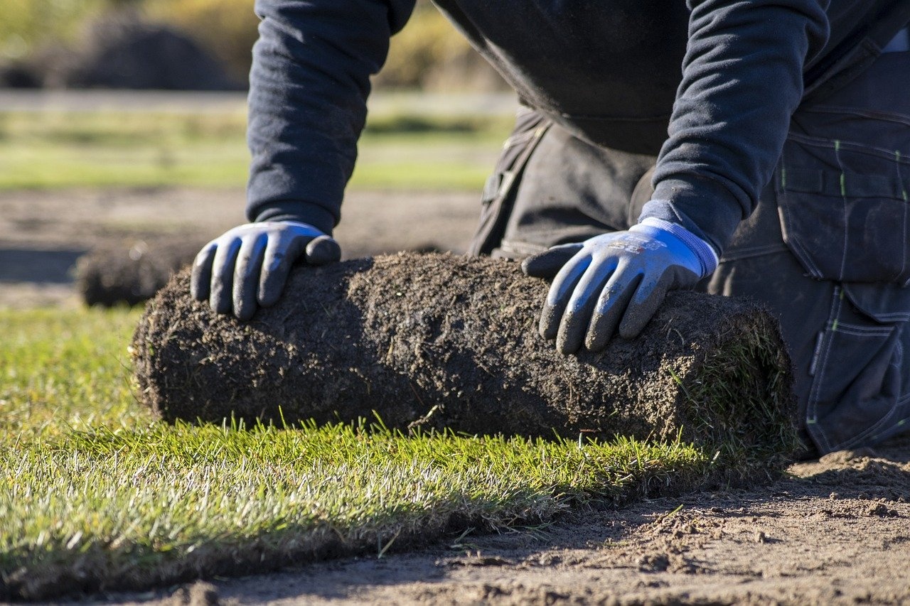 graszoden uitrollen