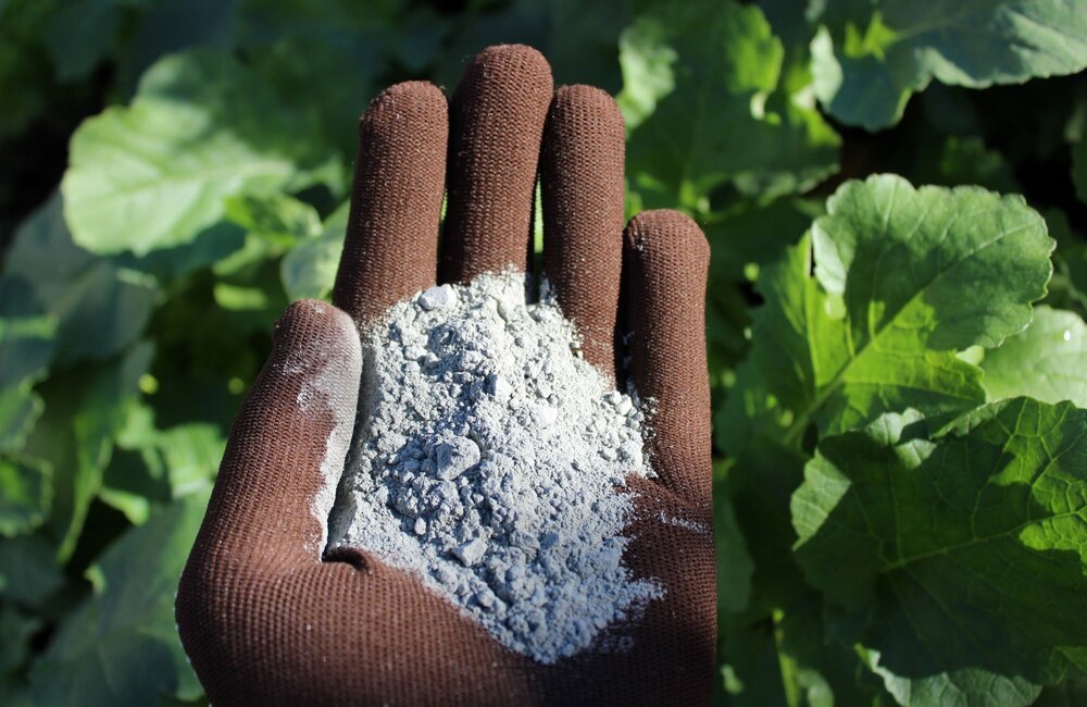 Wat is lavameel en waarvoor kun je het gebruiken?