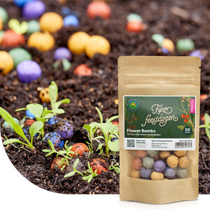 MRS Seeds & Mixtures Flower Bombs - Zaadbommen mix - Fijne Feestdagen!