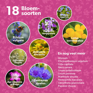 MRS Seeds & Mixtures Flower Bombs - Zaadbommen mix - Bedankt voor alles!