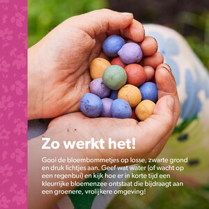MRS Seeds & Mixtures Flower Bombs - Zaadbommen mix - Bedankt voor alles!