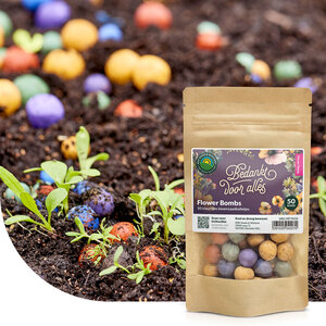 MRS Seeds & Mixtures Flower Bombs - Zaadbommen mix - Bedankt voor alles!