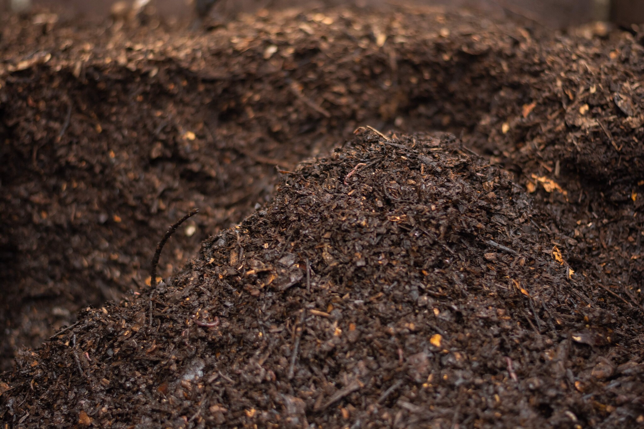 compost klaar om te gebruiken