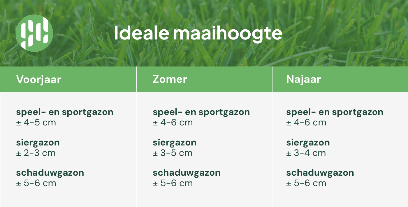 maaihoogte gras