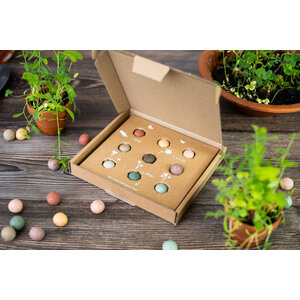 Blossombs Giftbox Medium - Most Colorful Time Of The Year - 9 stuks