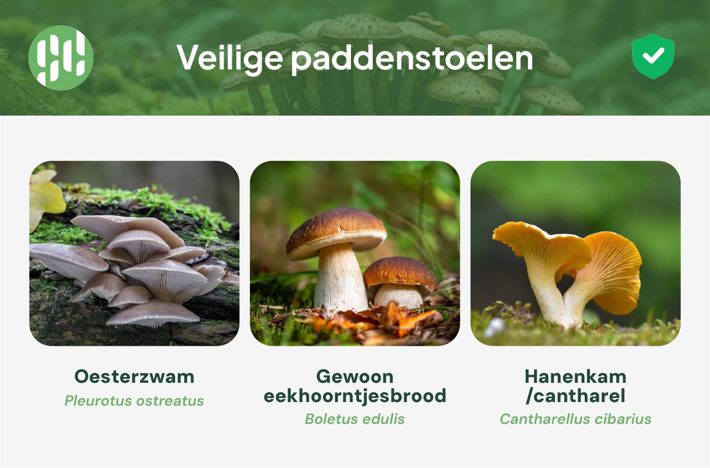 Veilige paddenstoelen
