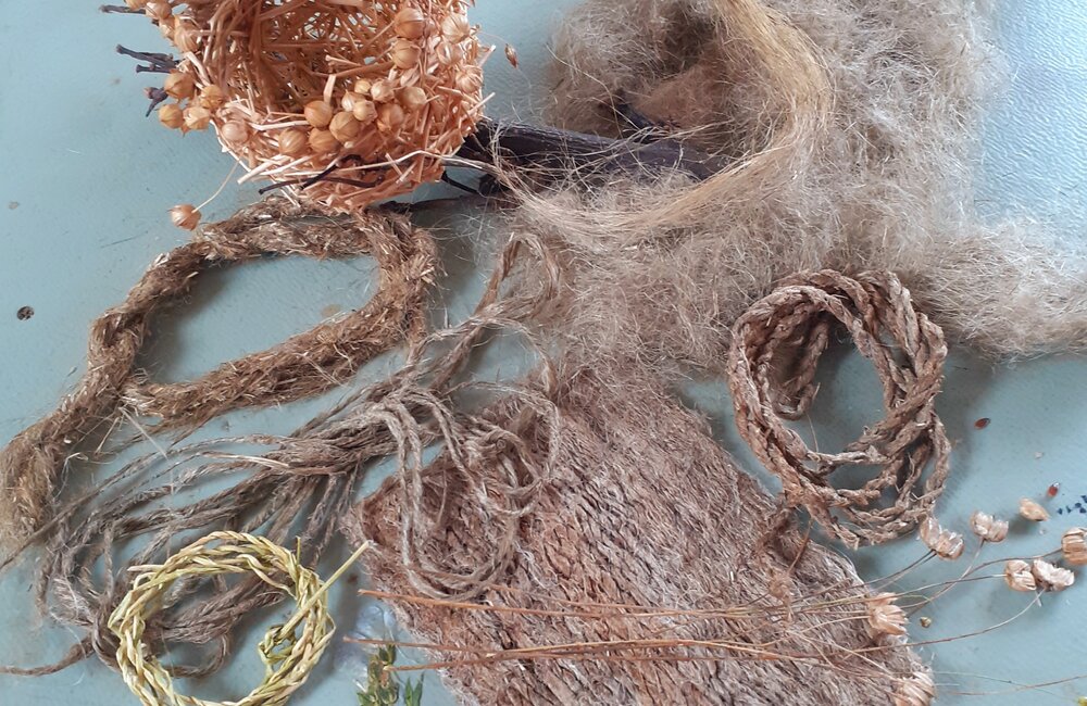 Vlas: van plant tot textiel  Vlas: van plant tot textiel