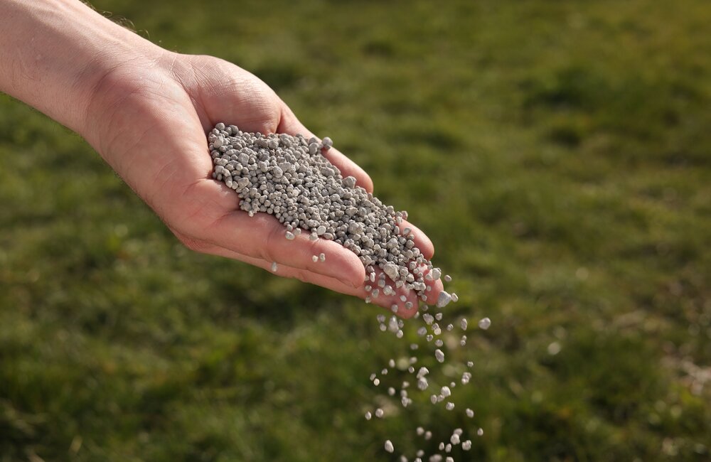Welke meststoffen moet ik kiezen voor mijn tuin? Welke meststoffen moet ik kiezen voor mijn tuin?