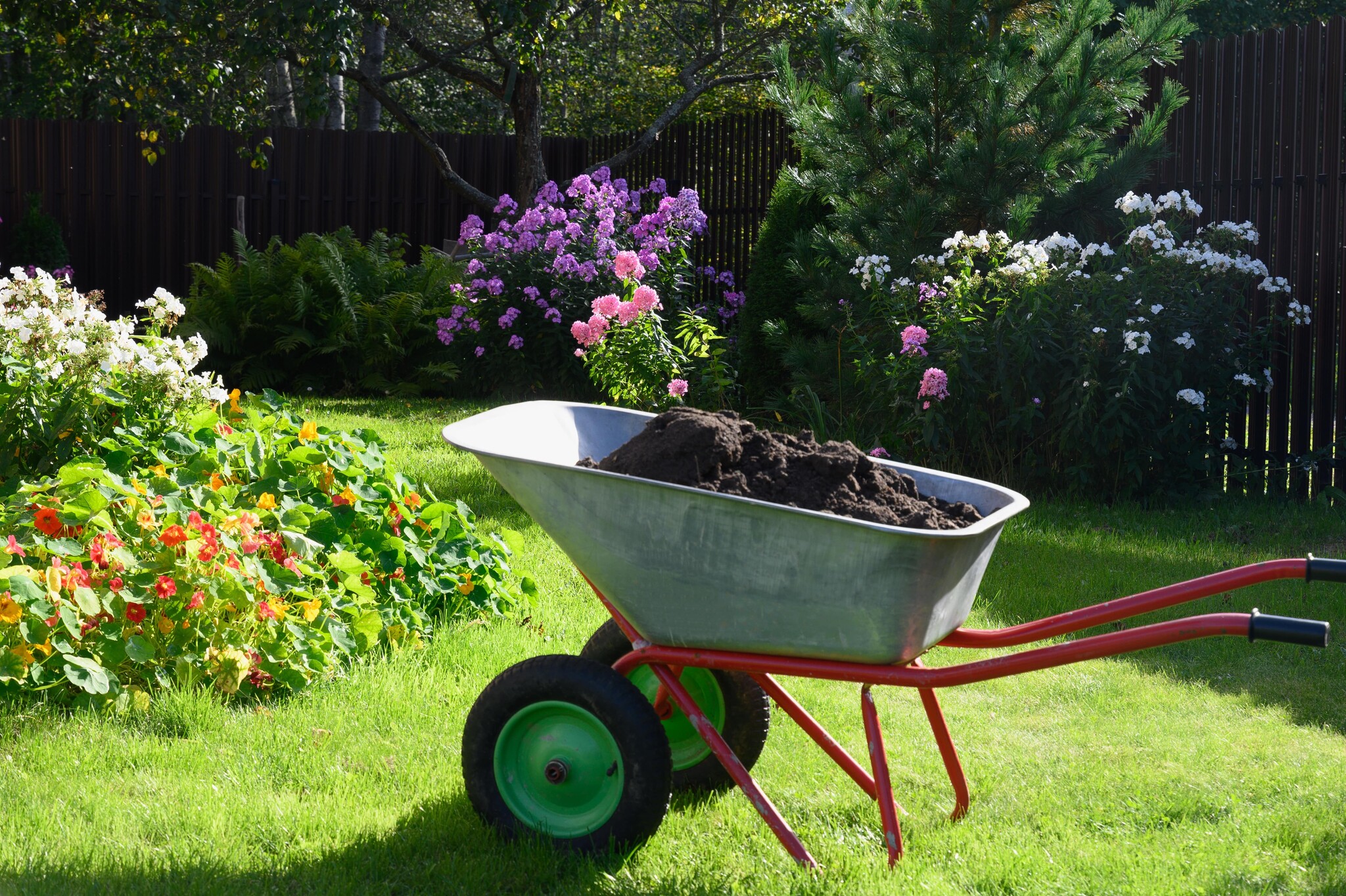 Schubkarre im Garten