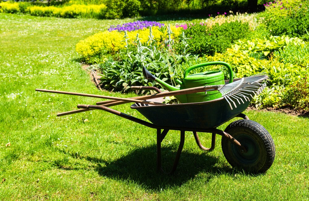 De must-have tuingereedschappen voor elke tuinier