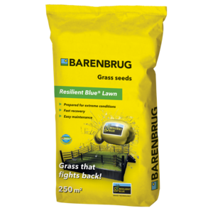 Barenbrug Resilient Blue Lawn | Barenbrug