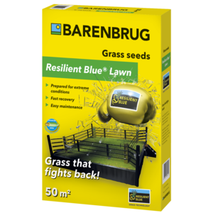Barenbrug Resilient Blue Lawn | Barenbrug