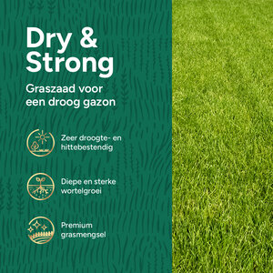 MRS Seeds & Mixtures Dry & Strong Premium - Droogtebestendig graszaad 10 kg - 500 m²